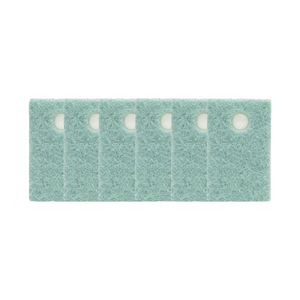 soapwell sponge